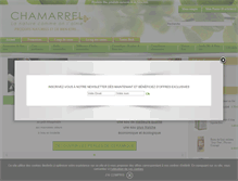 Tablet Screenshot of chamarrel.com